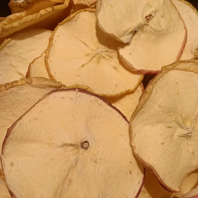 can you freeze dry apples