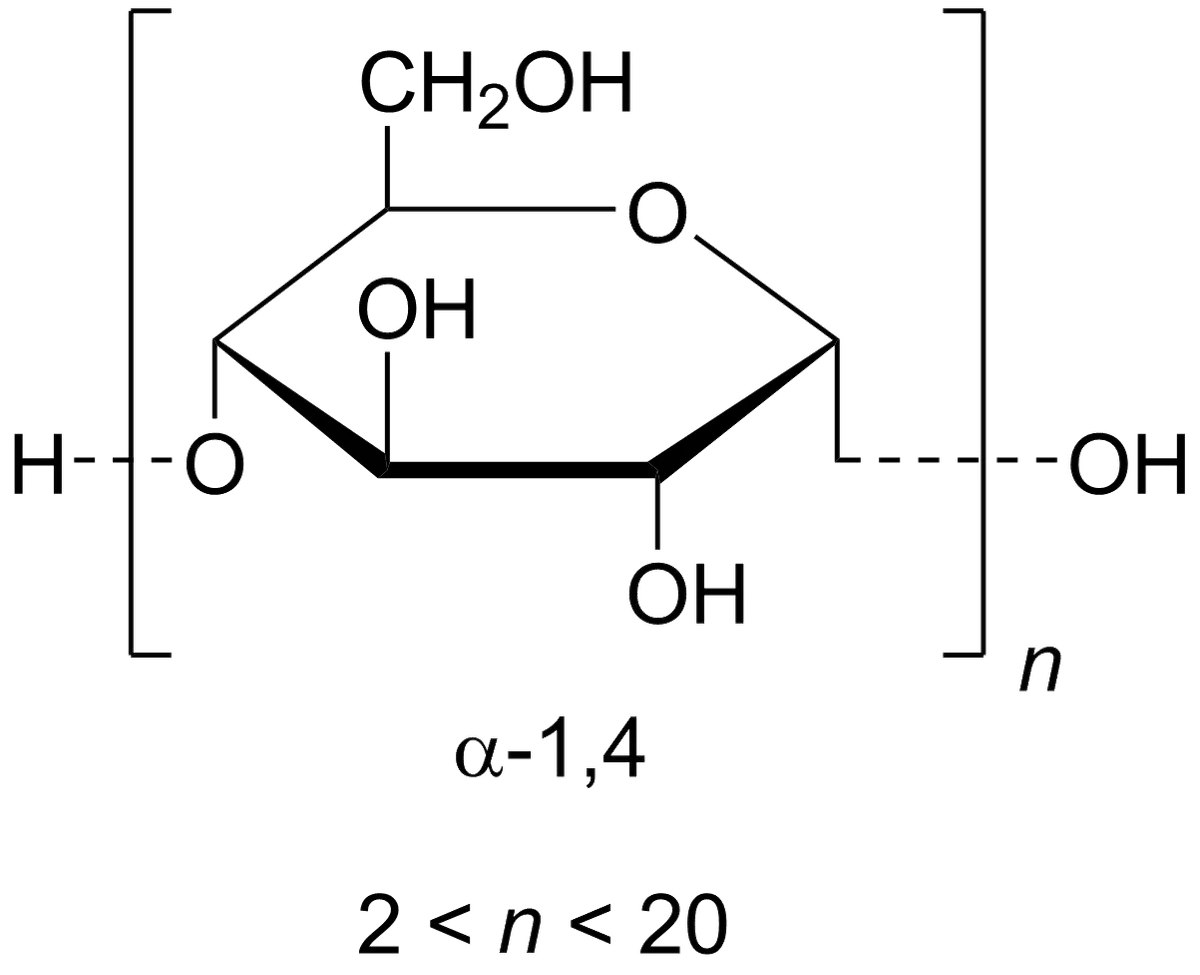maltodextrin