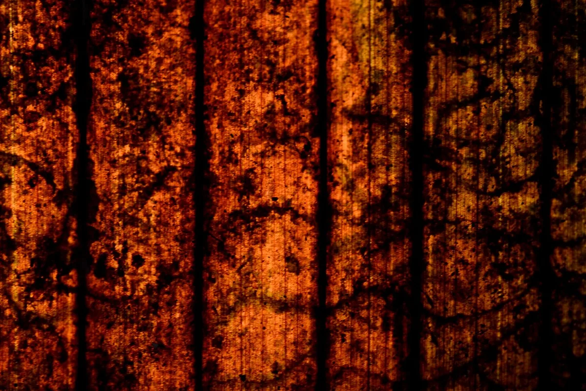 leaf texture