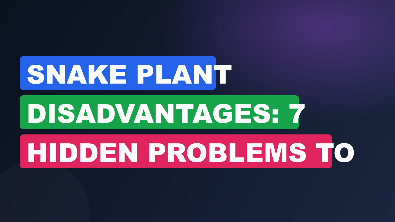 Snake Plant Disadvantages: 7 Hidden Problems to Know