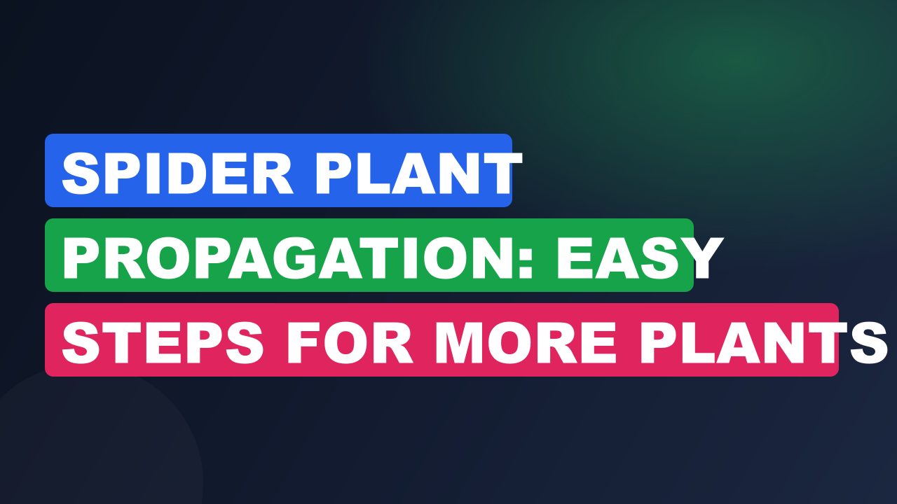 Spider Plant Propagation: Easy Steps for More Plants
