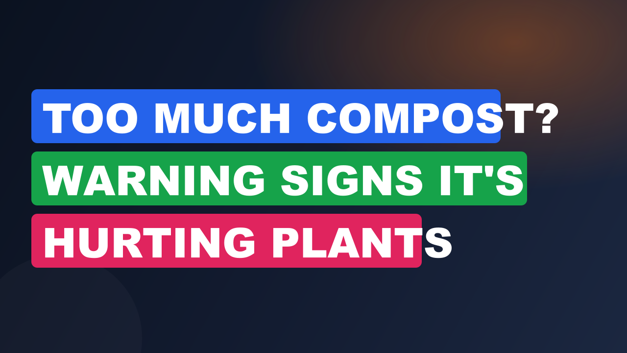 Too Much Compost? Warning Signs It’s Hurting Plants