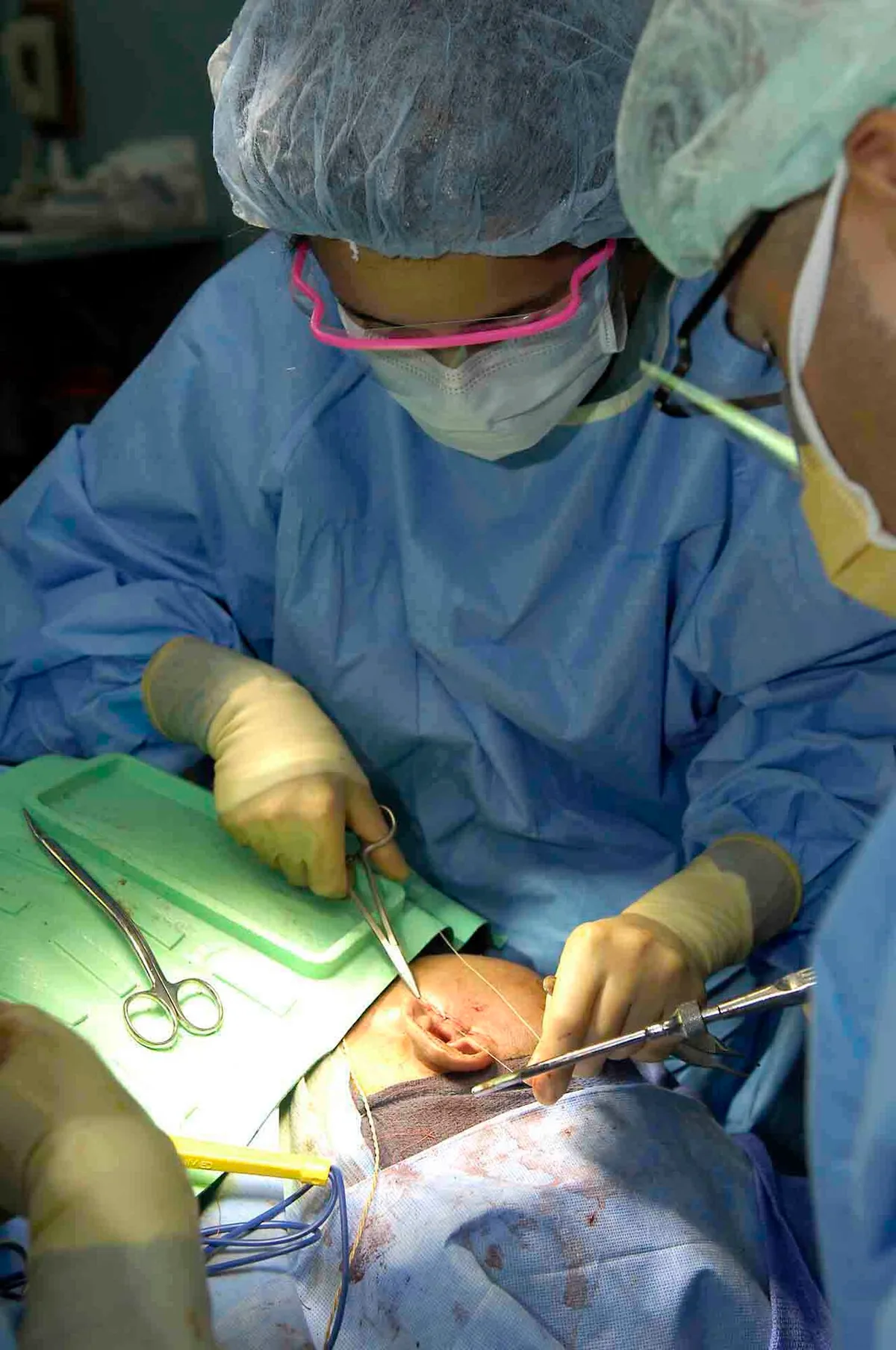 veterinary emergency treatment