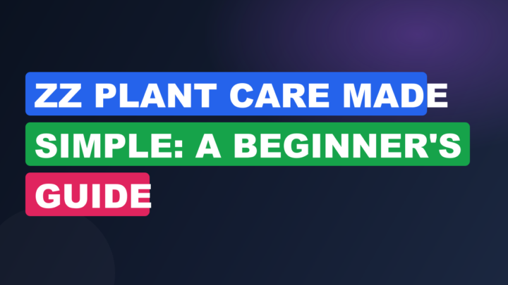ZZ Plant Care Made Simple: A Beginner’s Guide